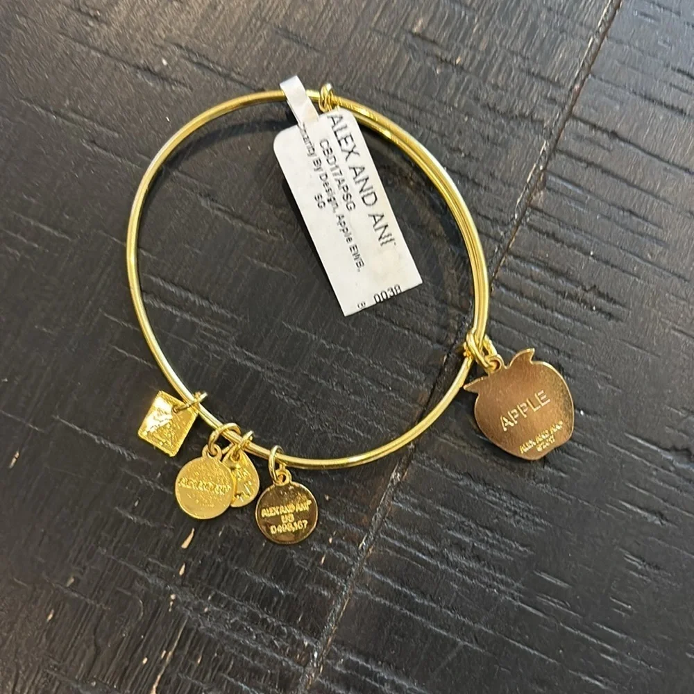 NWT Alex And Ani Red Apple Charm Bangle Bracelet Teacher Energy Adjustable​